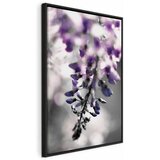  Slika - Violet Ringtones (1 Part) Vertical 80x120 | shoptok.hr