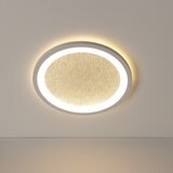 Brilliant LED RGB prigušiva plafonska svetiljka TANIDA LED/22W/230V 3000-6500+daljinski upravljač | Eponuda.com