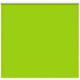 vidaXL Roleta Blackout listi zeleni 160x150 cm Širina tkanine 156,6 cm | Shoptok.si