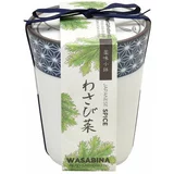 Noted set za gojenje rastlin Yakumi, Wasabina
