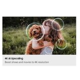 Samsung QE85QN80FAUXXH Neo QLED 4K 2025 | ePonuda.com