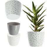 KADAX cvetlični lonec, cvetlični lonec, okrogel plastični cvetlični lonec, 15 cm siv, (5000346030) | Shoptok.si