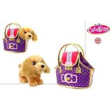  Plišane igračke Colorbaby Cutekins Pas | shoptok.hr