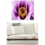 Wallity Set slika MDF342212, 3 dijela | Eponuda.ba