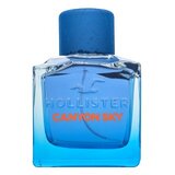 Hollister Canyon Sky For Him Toaletna voda za moške 100 ml Cene