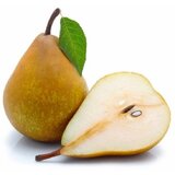 Nepoznato Kruške Abata 1kg | ePonuda.com