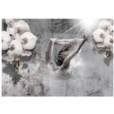  Tapeta - Arrangement with orchid 350x245 | shoptok.hr