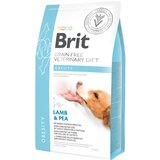 Brit veterinary diet Brit GF Veterinarska dieta za pse - Obesity 2 kg | Shoptok.si