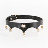 Ns Novelties Fetish & Fashion Jezebel Collar Black Cene