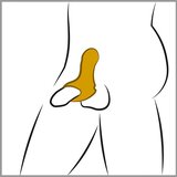 You2Toys Vibracijski masturbator New Favorite (R552518) | Shoptok.si