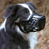  Brnjica Za Psa Plastična 24 cm | Eponuda.com