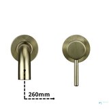 EYN Stenska kopalniška armatura BGW1644 | Barvni odtenek brušeno zlato — 21 cm | Shoptok.si