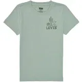 Levi's CACTI CLUB TEE Plava