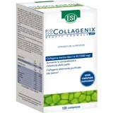 riblji kolagen Biocollagenix Lift A120