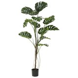 Lesnina XXXL UMETNA RASTLINA Cene