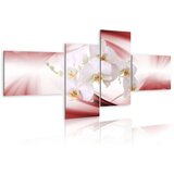  Slika - An orchid in pink shade 100x45 Cijene