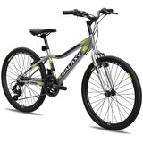 Galaxy Bicikl BLAZER 24"/18 siva/crna/žuta MAT | Eponuda.com