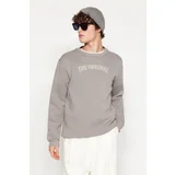 Trendyol Gray Men's Crew Neck Regular Fit Sweatshirt with Soft Pillows, Text and Print.