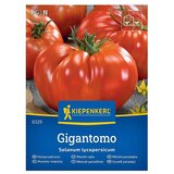 KIEPENKERL Zelenjavna semena Paradižnik Gigantomo F1 (Solanum lycopersicum, Čas žetve: Julij) | Shoptok.si
