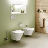 Roca SIKOSRG001 The Gap viseča brezrobna WC školjka z WC desko s počasnim zapiranjem | Shoptok.si