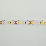 Mitea_Electric MLM2835120ML 6500K bela LED traka 5m 12V 10W 120 LED1m IP20 5Y Mitea Lighting | Eponuda.com