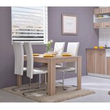  Blagovaonski stol DT SO 120 x 80 cm | shoptok.hr