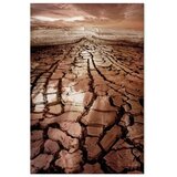  Slika - Drought (1 Part) Vertical 20x30 Premium Print | shoptok.hr