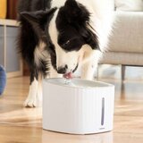 InnovaGoods Fontana za Kućne Ljubimce Drinkatt | shoptok.hr