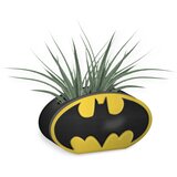 Blue Bay Half Moon Bay HMB DC COMICS - Batman - Planter - Batman (logotip), (20852509) | Shoptok.si