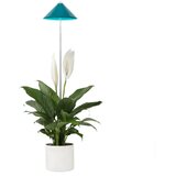 Venso Svetilka SUNLiTE 7W - petrol | Shoptok.si