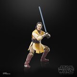 Hasbro Vojna zvezd: Akcijska figura Acolyte Black Series Jedi Master Sol 15 cm, (5000077782) | Shoptok.si