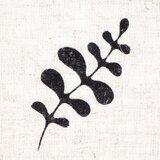  Leseni žig ROSA TALENT št. 14 Botanical 4x8 cm | Shoptok.si