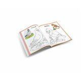  101 crtež za bojenje i reč za učenje ( DEXY4393 ) cene