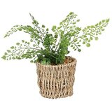  Umjetna biljka Adiantum (Visina: 26 cm, Plastika) Cijene