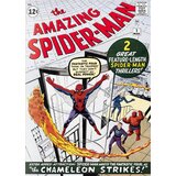 Taschen Ralph Macchio - Marvel Comics Library Spider-man 19621964 | Eponuda.com