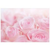  Samoljepljiva foto tapeta - Ocean of Roses 392x280 | shoptok.hr