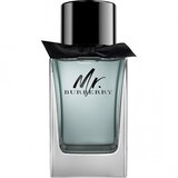 Burberry Mr. toaletna voda za muškarce 50 ml | shoptok.hr