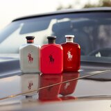 Polo Ralph Lauren Polo Red parfumska voda za moške 75 ml | Shoptok.si