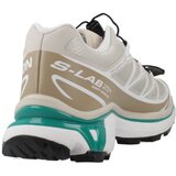 Salomon Advanced XT 6 Smeđa | shoptok.hr