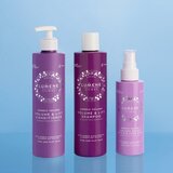 Lumene Nordic Volume [ILMA] Volumizing & Lifting šampon za volumen za nježnu i tanku kosu 300 ml | shoptok.hr