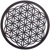 Signes Grimalt Premijera Crna | shoptok.hr