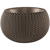 Keter COZY S POSODA ZA ROŽE S SETOM ZA OBEŠANJE | Shoptok.si