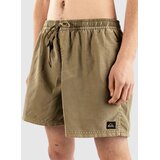 Quiksilver Everyday Surfwash Volley 15 Boardshorts aloe | Shoptok.si