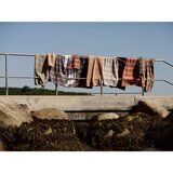 Zone Črna/svetlo siva bombažna brisača 50x100 cm Sauna – | Shoptok.si