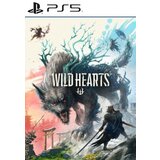 PS4 / PSN WILD HEARTS - Pre-Order Bonus (DLC) (PS5) PSN Key EUROPE | ePonuda.com