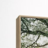knor Slika 150x60 cm Tree in the Sun – | shoptok.hr