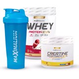 Maximalium Paket "Vojvoda od mišića", Whey Protein Višnja/jogurt 750g + Kreatin Monohidrat 500g + Šejker Cene