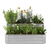 Blumfeldt High Grow Dve ravni Siva | Shoptok.si