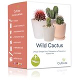 Mini set "Wild Cactus" Cene
