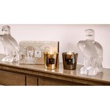 Baobab Collection Aurum & Platinum Les Exclusives Duo Candle Box darilni set | Shoptok.si
